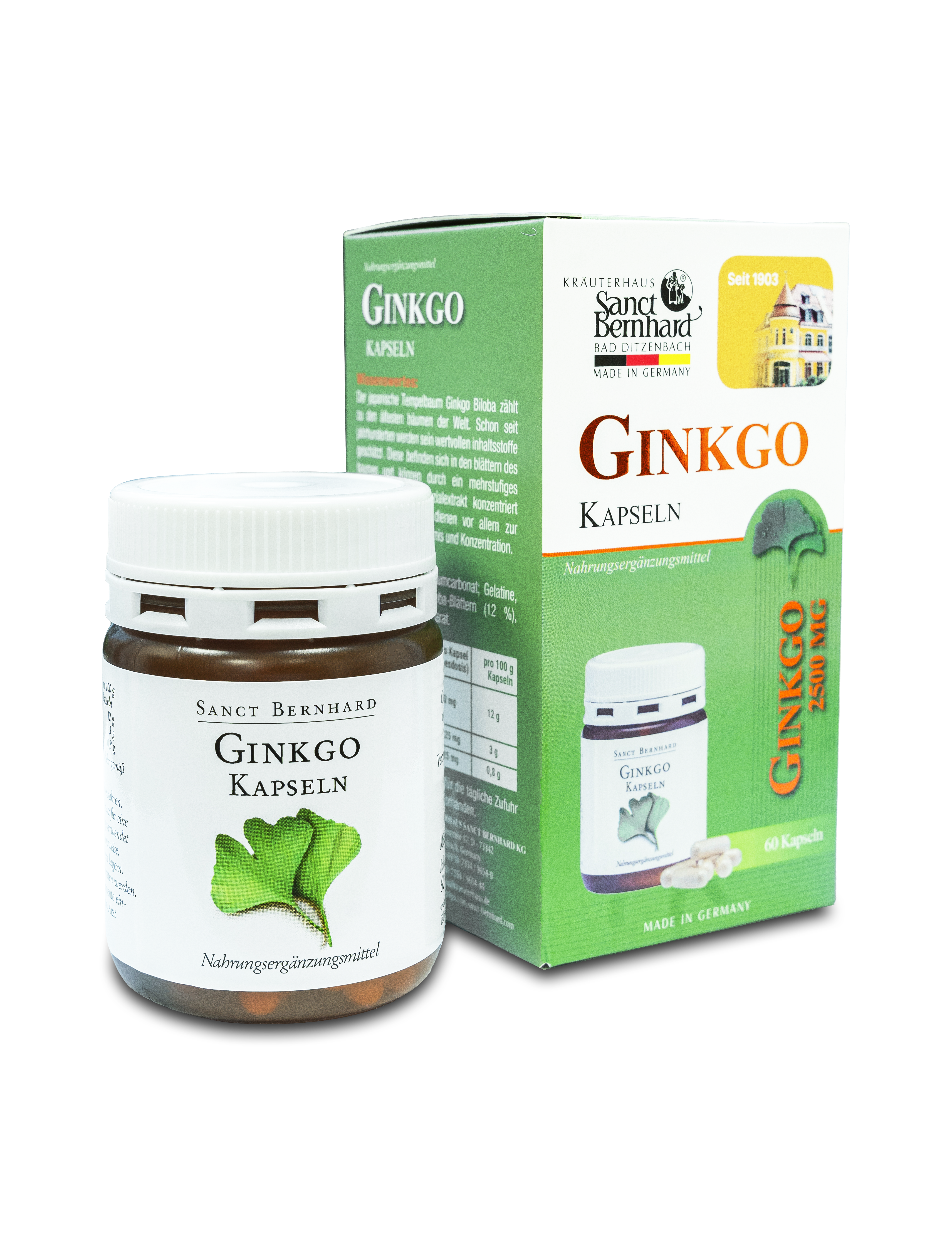 VIÊN UỐNG BỔ NÃO LÁ BẠCH QUẢ GINKGO KAPSELN